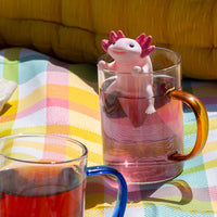 Dragon Fruit Fusion Herbal Tea - view 5